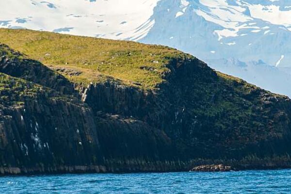 MS HONDIUS | Northwest Iceland Expedition – Encounters at the Edge of the Sea Ice