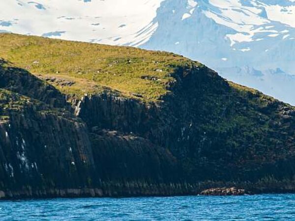 MS HONDIUS | Northwest Iceland Expedition – Encounters at the Edge of the Sea Ice